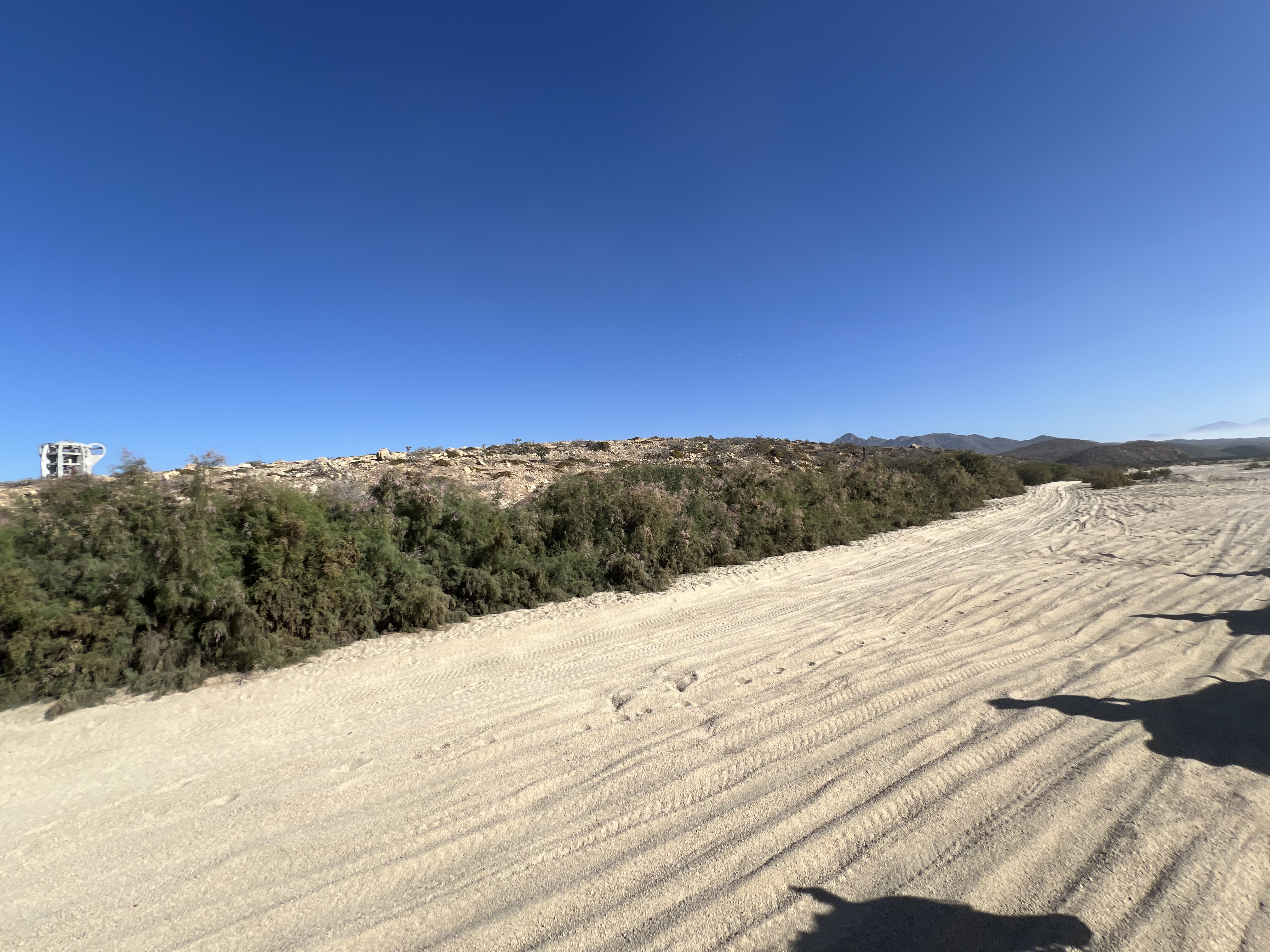 ./2024/13 - Cabo/IMG_4478.jpg